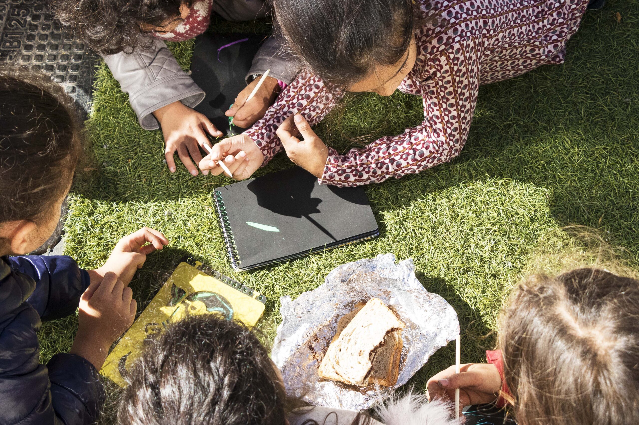 Kinderen leren in het gras